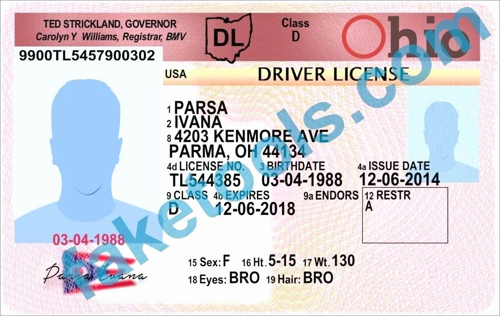 Ohio Drivers License Template